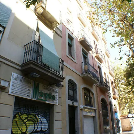 Flateli Borrell