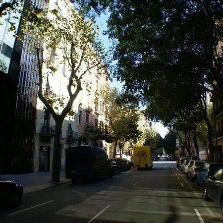 Flateli Borrell