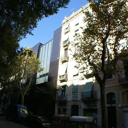 Flateli Borrell