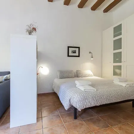 Flateli Borrell Apartment Barcelona