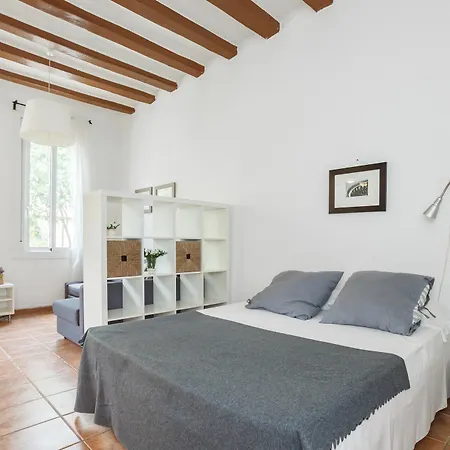 Apartment Flateli Borrell *