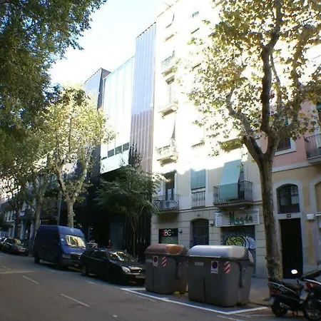 Flateli Borrell Barcelona