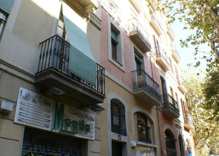 Flateli Borrell