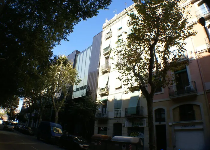 Flateli Borrell
