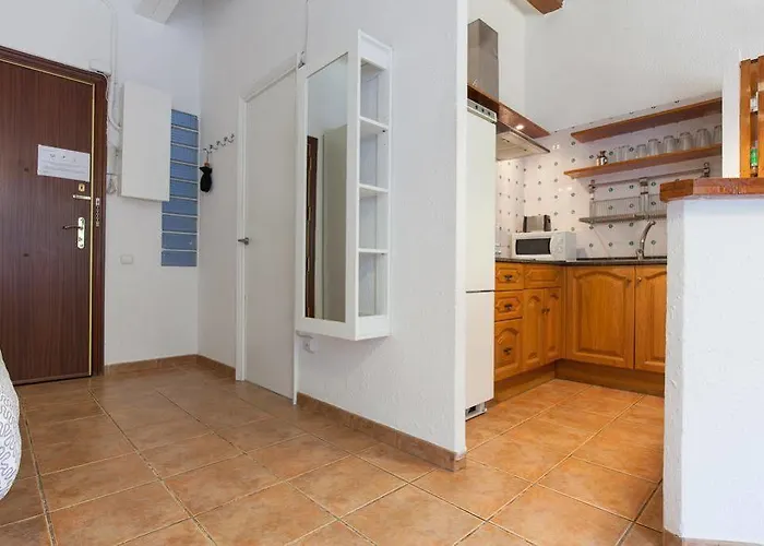 Apartment Flateli Borrell
