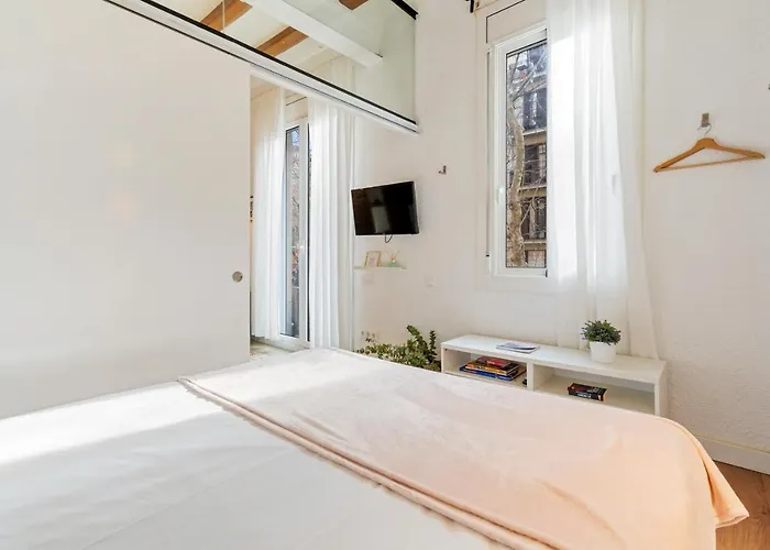 Flateli Borrell Barcelone