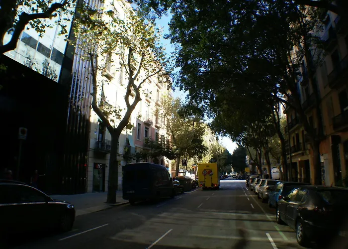 Flateli Borrell