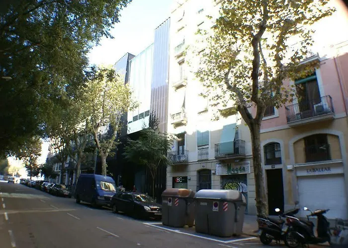 Flateli Borrell Barselona
